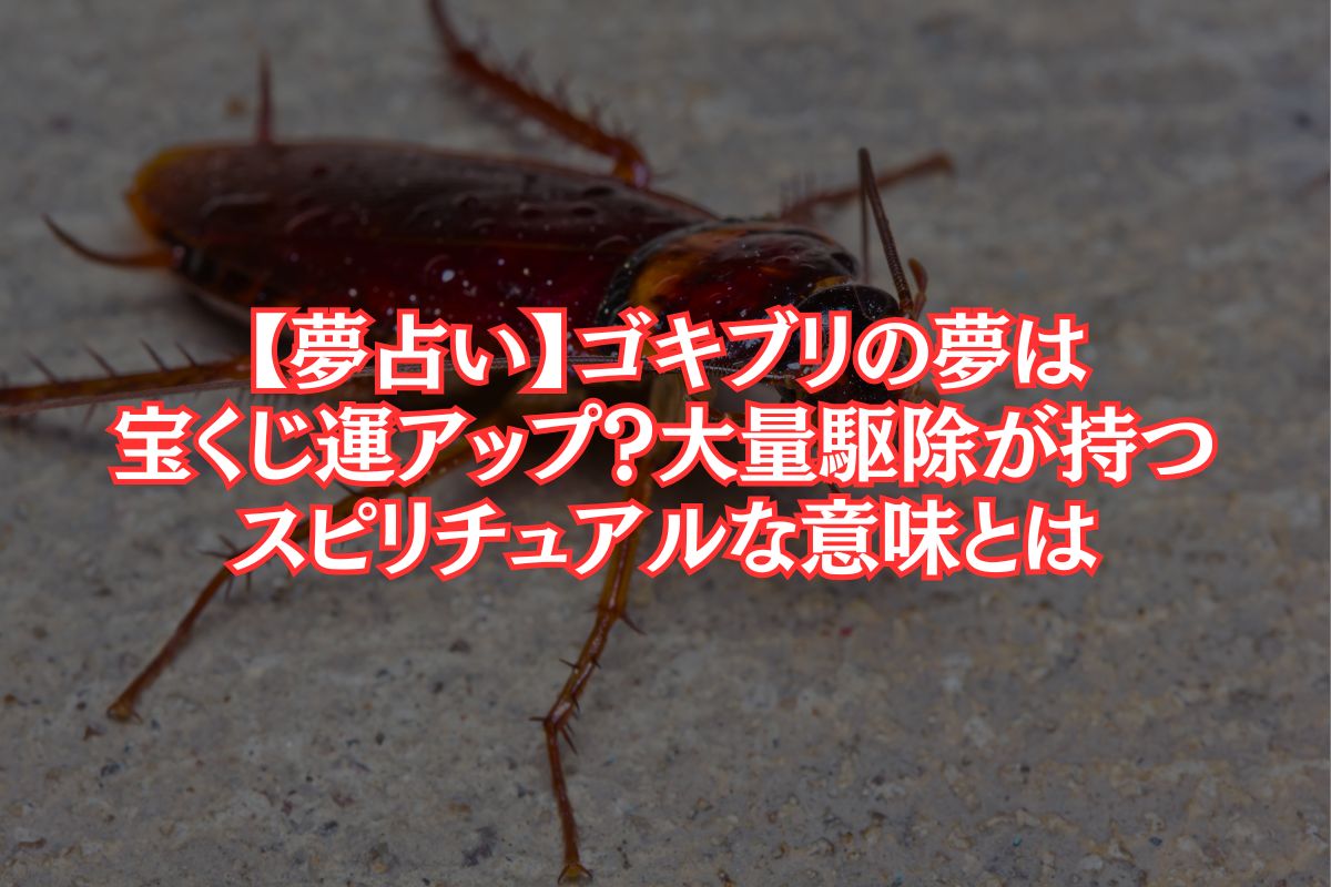 ゴキブリ の 夢 宝くじ